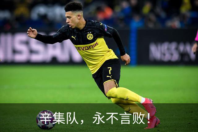 辛集队，永不言败！